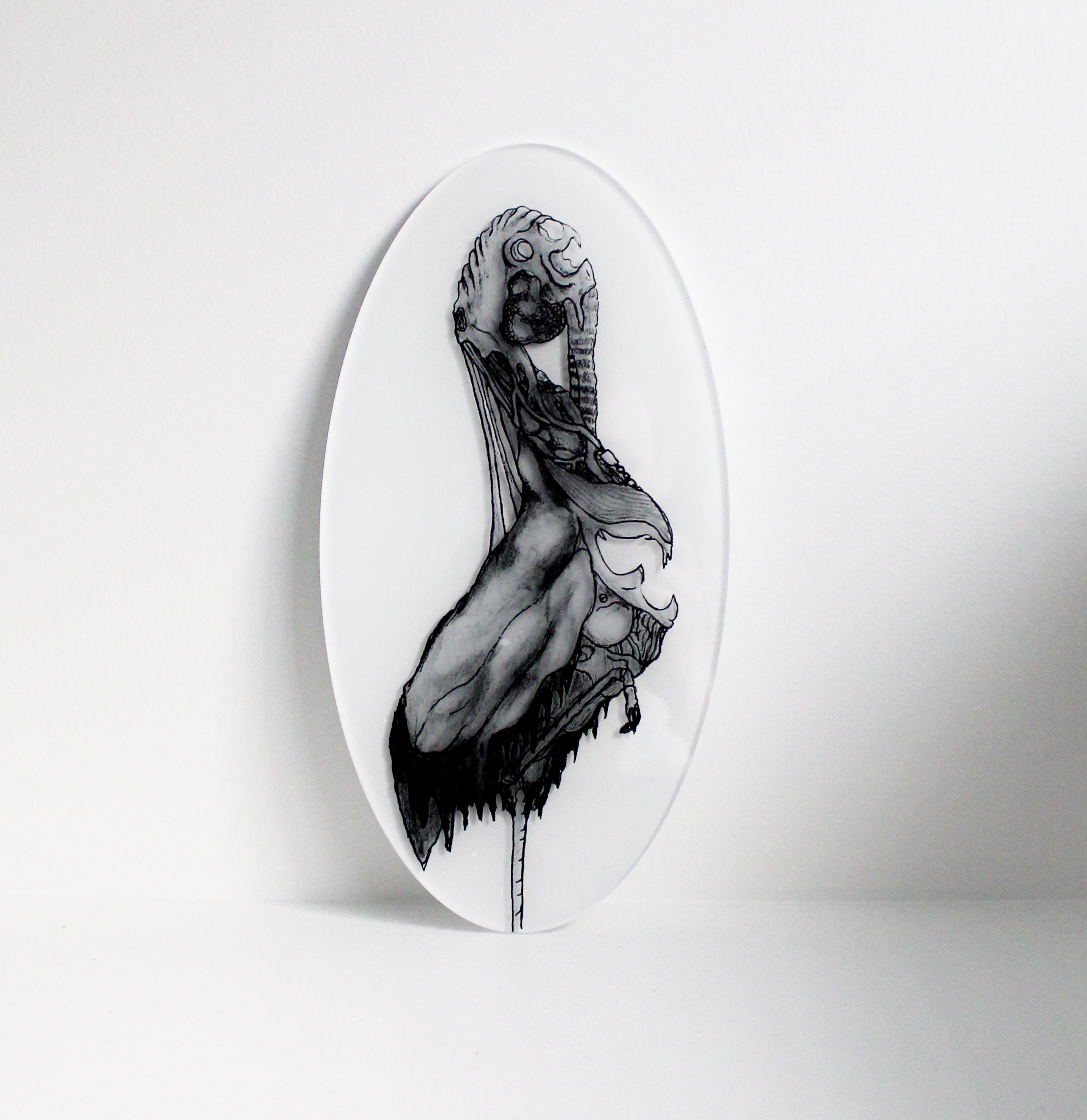 Egret 02