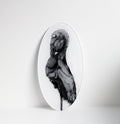 Egret 03
