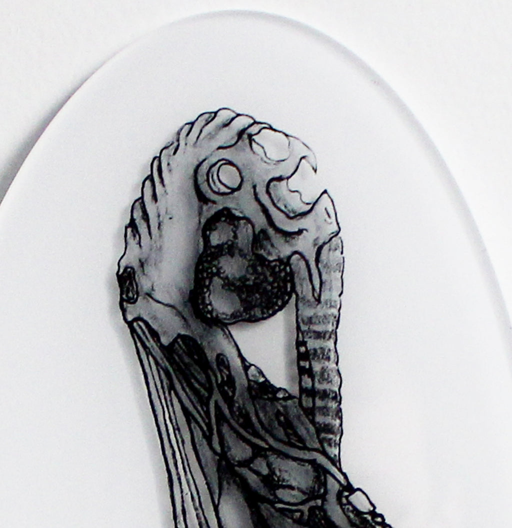 Egret 02