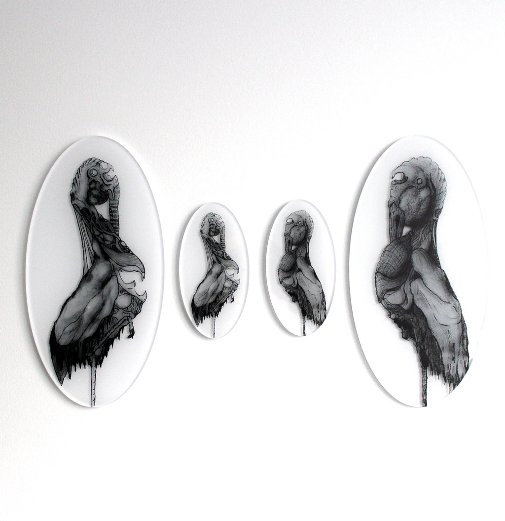 Egret 03