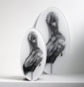 Egret 02