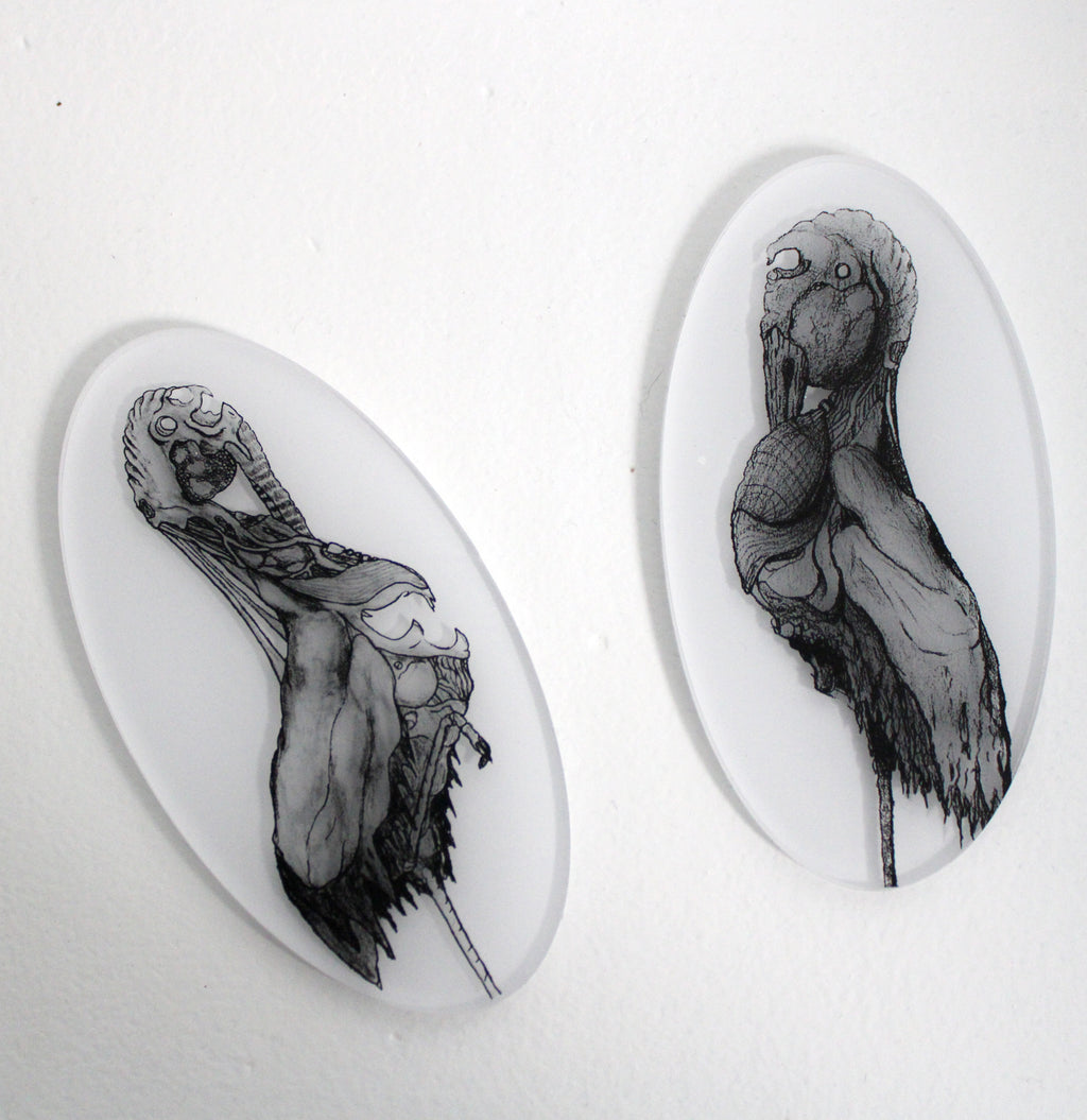 Egret 03