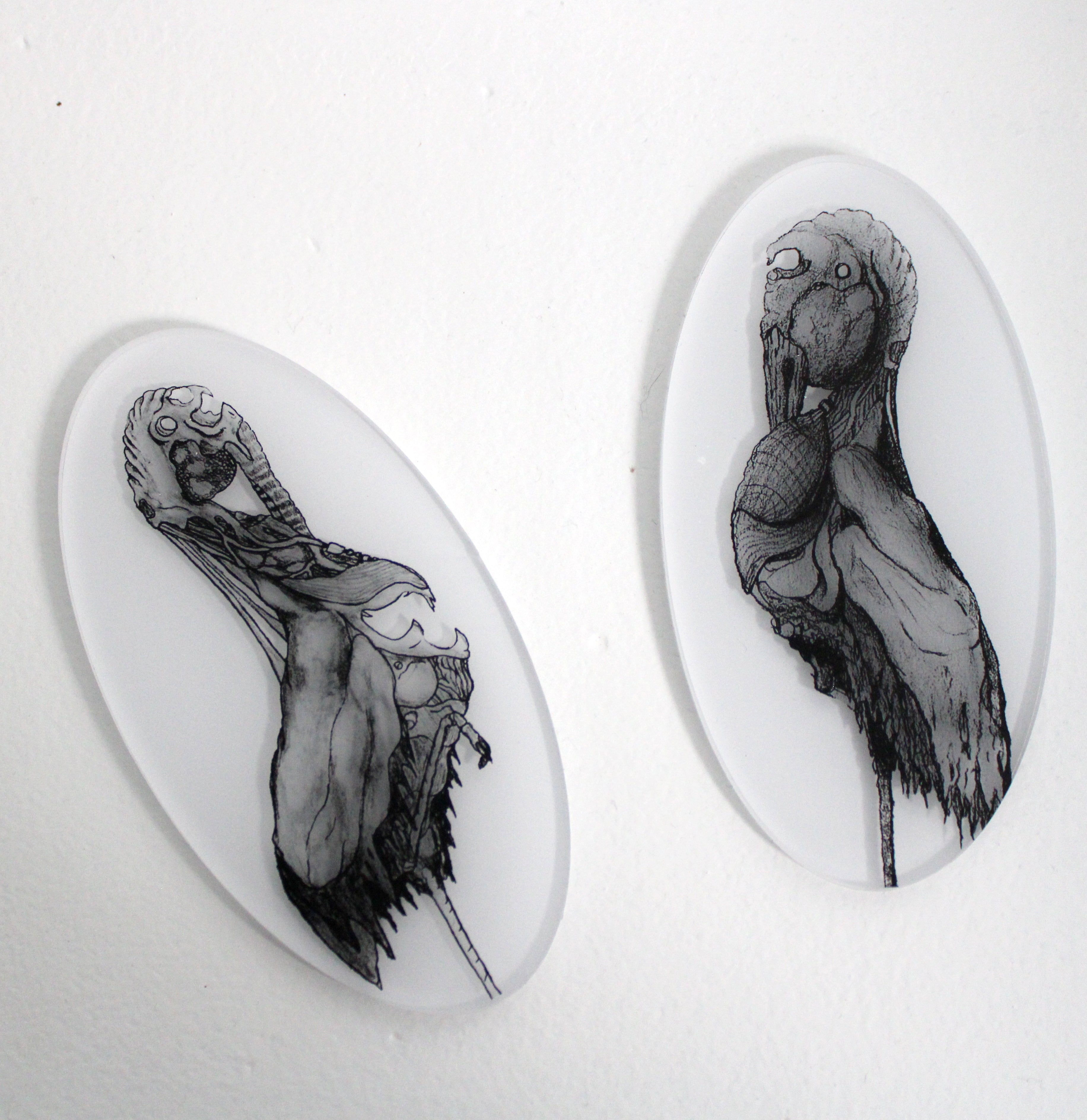 Egret 03